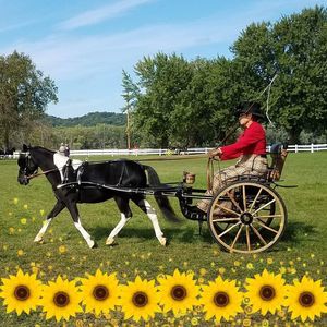 Meet your Posher, Cathy